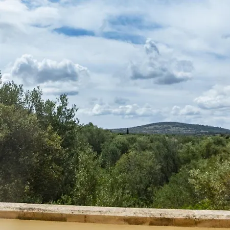 Tortuga Con Piscina Villa