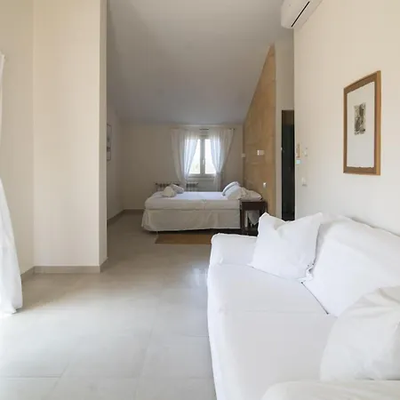 Tortuga Con Piscina Manacor (Mallorca)