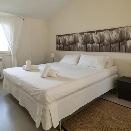 Tortuga Con Piscina Villa Manacor (Mallorca)